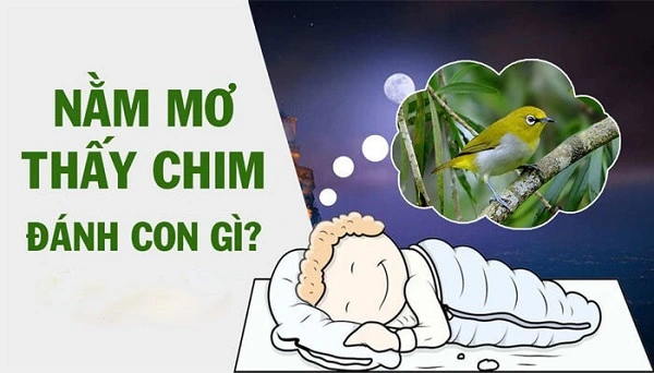 Ngủ mơ thấy chim đánh con gì may mắn