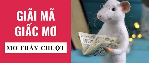 Giấc mơ thấy chuột mang đến điềm báo gì?