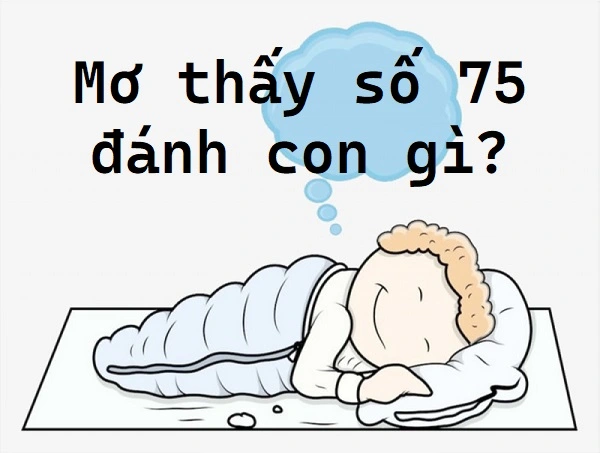 Mơ thấy số 75 nếu biết lựa chọn đánh con gì sẽ mang đến nhiều may mắn