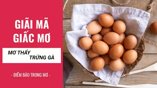 Trứng gà xuất hiện trong giấc mơ mang lại những ý nghĩa gì?