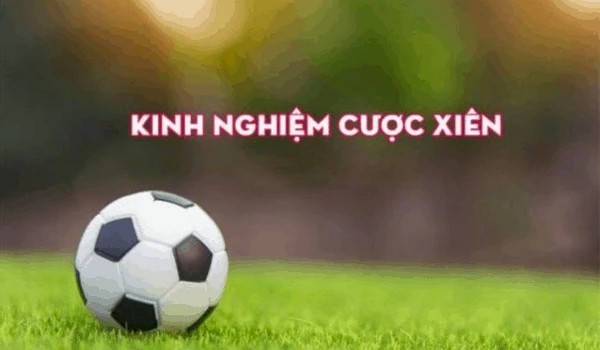 Học hỏi kinh nghiệm cược từ những người đi trước cũng là một cách để bạn nâng cao tỷ lệ thắng đấy!