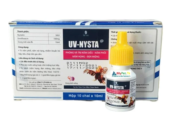 Khi gà chọi bị nấm họng, bạn dùng UV-NYSTA