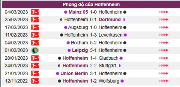 Nhận định phong độ CLB Hoffenheim