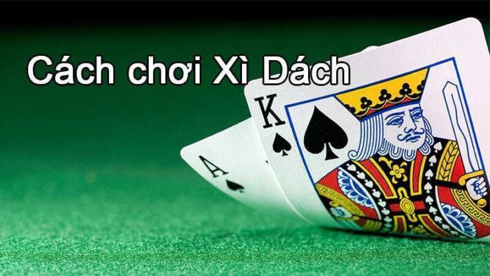 Cách chơi xì dách chuẩn xác nhất cho người chơi mới