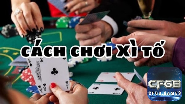 Cách chơi bài xì tố và mẹo cách chia bài xì tố luôn thắng